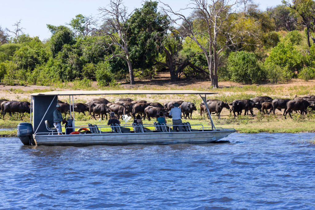 machaba-safaris-web-ngoma-lodge-activities-boat-cruise-wildlife