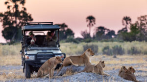 Tawana Tented Camp Moremi Game Reserve Botswana